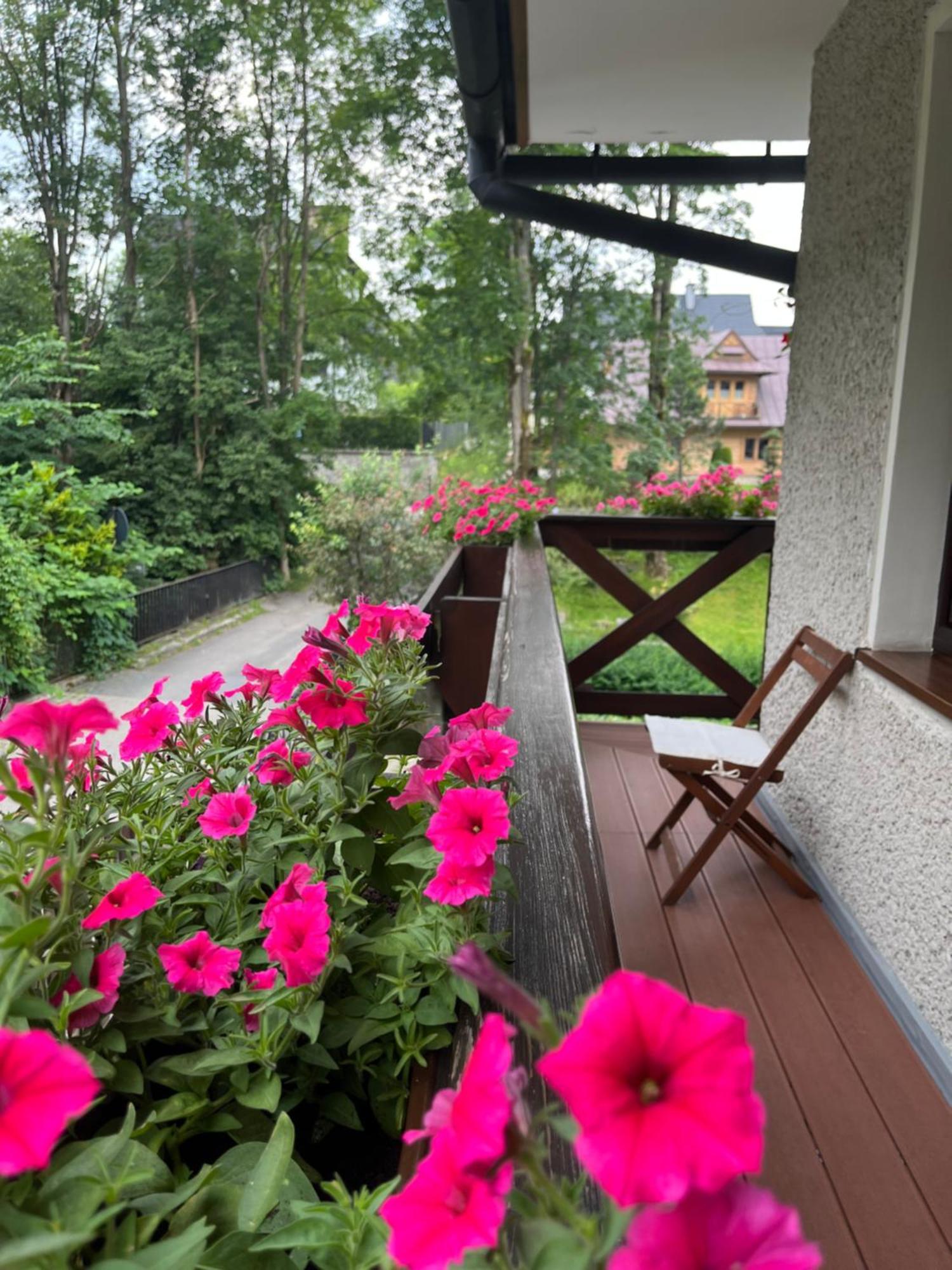 Marina Zakopane Bed & Breakfast Bilik gambar